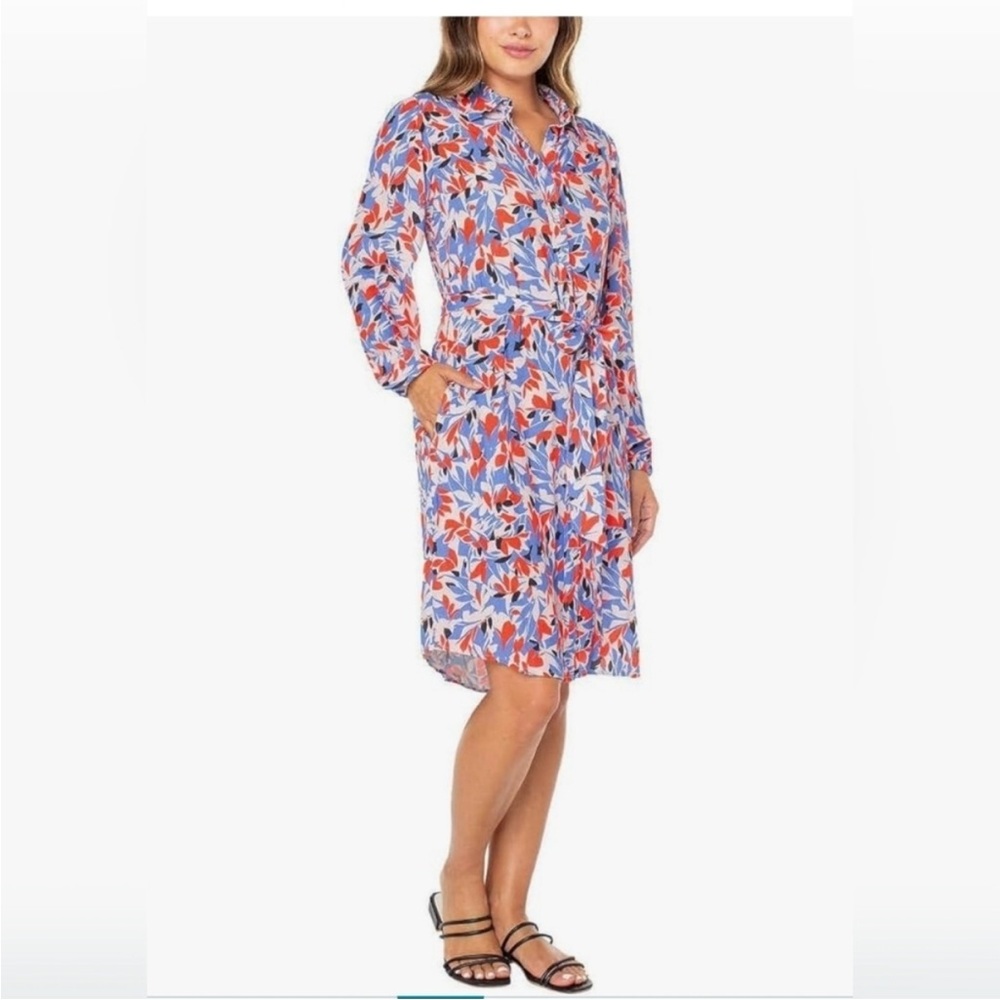Well Worn Red and Blue Floral Dress